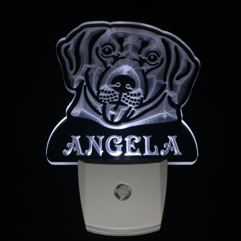 ADVPRO ws1073-tm Personalized Labrador Retriever Night Light with Name - LED Dog Sign with Day/Night Sensor | Perfect for Pet Lovers' Bedroom, Nursery & Gift Giving