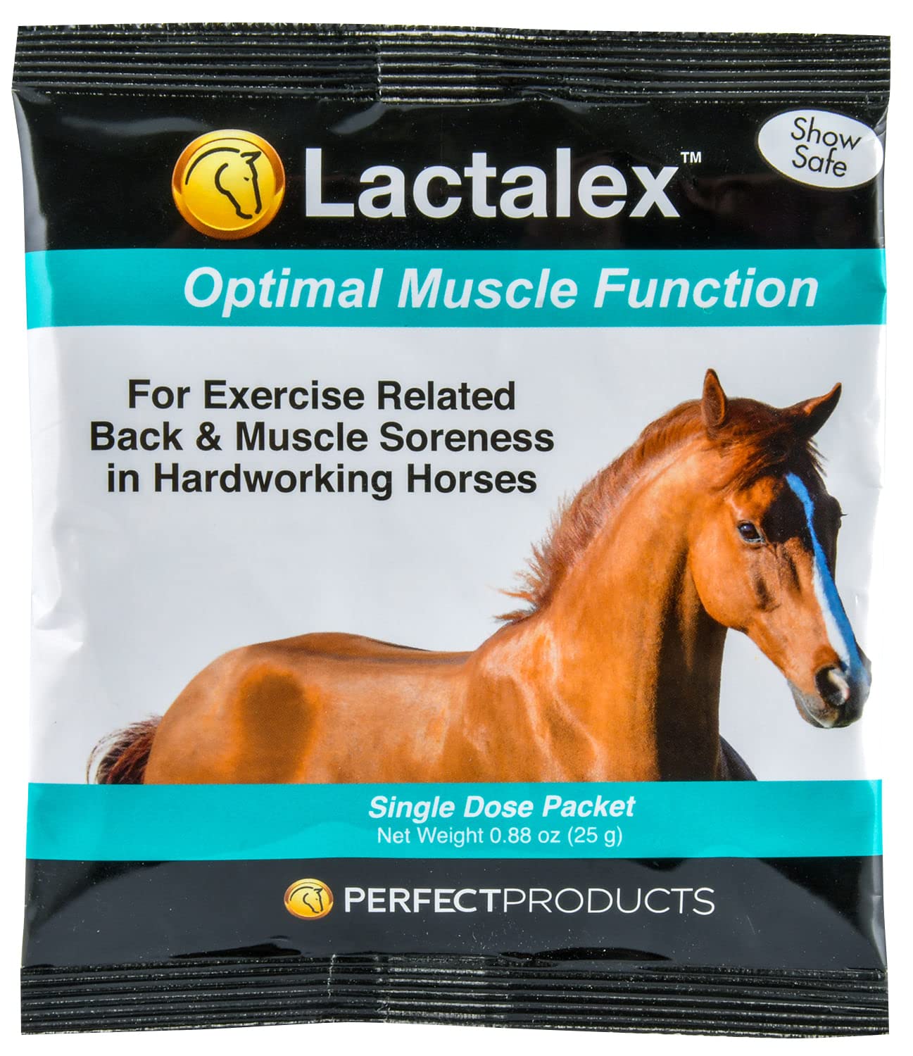 Lactalex Powder Packet - 10 Packets for Digestive Health | Probiotic Supplement for Gut & Immune Support | Perfect for Travel, Work & Daily Wellness