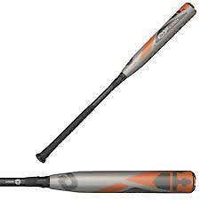 DeMarini M243 Pro Maple Wood Baseball Bat - 31 Inch Adult Size for Power Hitting | Perfect for League Games & Training