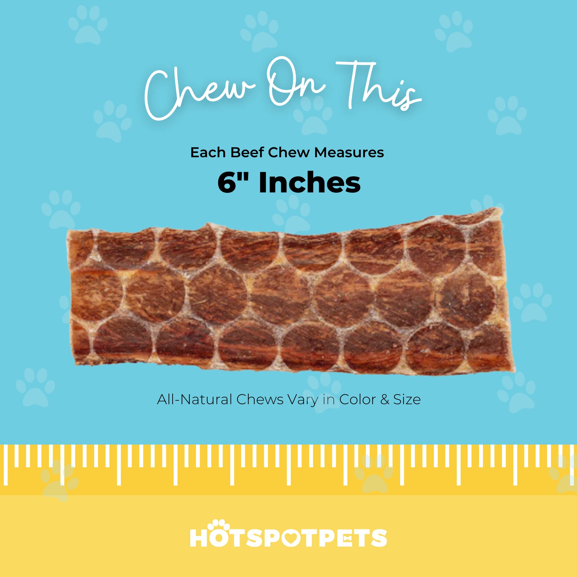 Premium 100% Natural Beef Esophagus Dog Treats (6 Inches) - Healthy, Grain-Free Chews for Dogs - No Preservatives, Hormones, Grass-Fed Cattle - 100 Pack - Perfect for Training, Dental Health & Reward Snacks