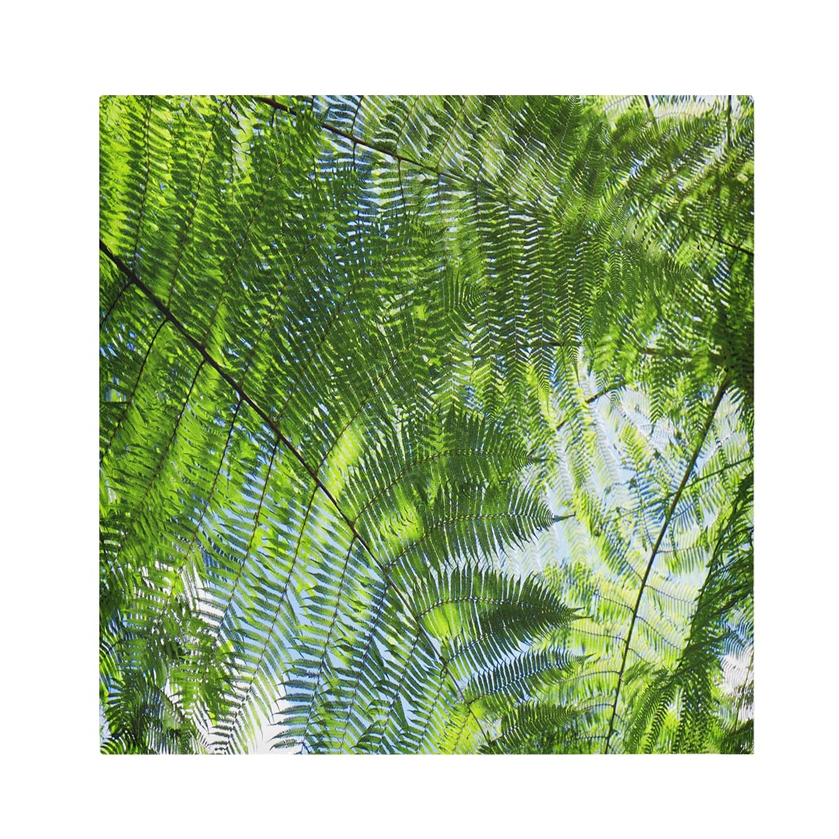 AUUXVA Tropical Plants Sun Pattern Cloth Napkins - Set of 1 Reusable Washable Soft Dinner Napkins (20x20 Inches) - Perfect for Kitchen, Wedding Banquet & Outdoor Picnic Table Decor