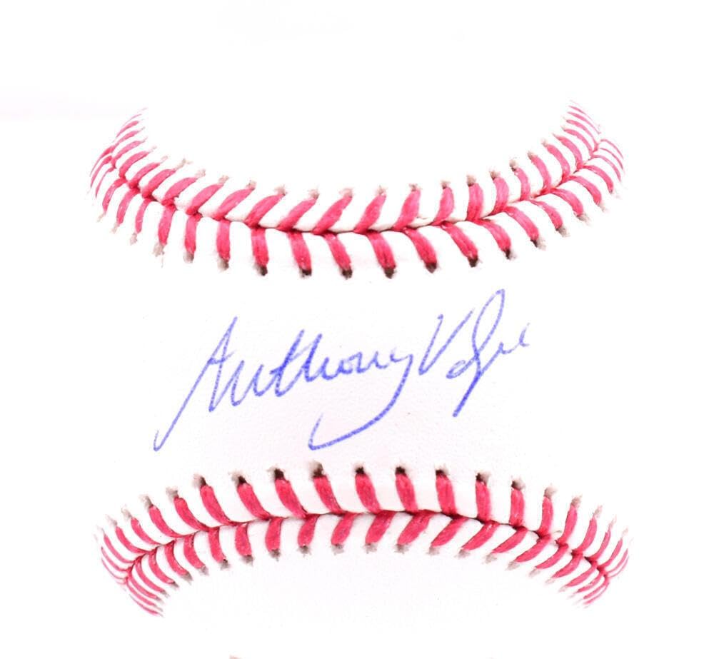 Anthony Volpe Autographed OML Baseball - Official MLB Licensed - Signed Collectible Baseball for Fans - Perfect for Display, Memorabilia Collections, and Yankees Gifts