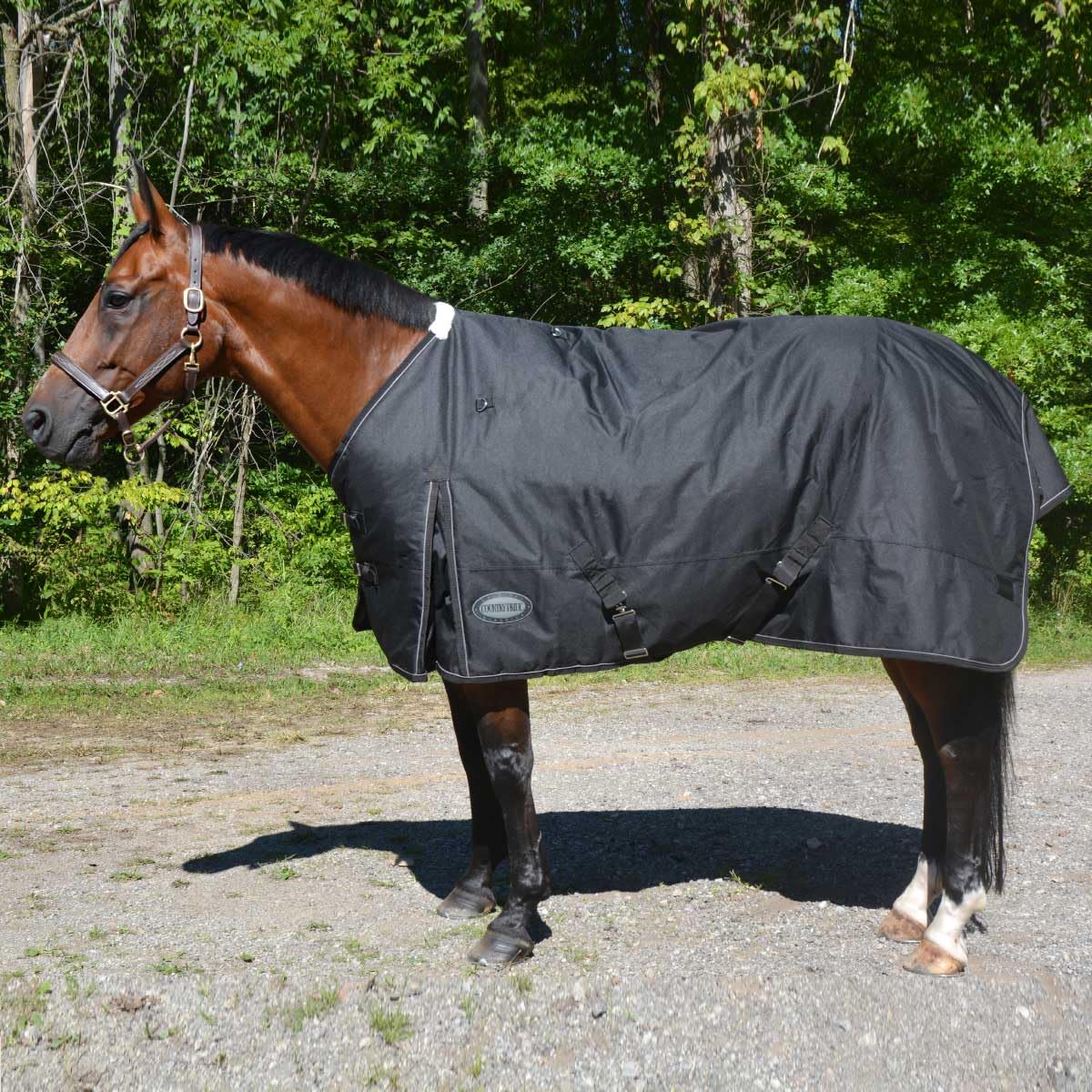 Country Pride Glacier Heavyweight Turnout Blanket for Horses - 66