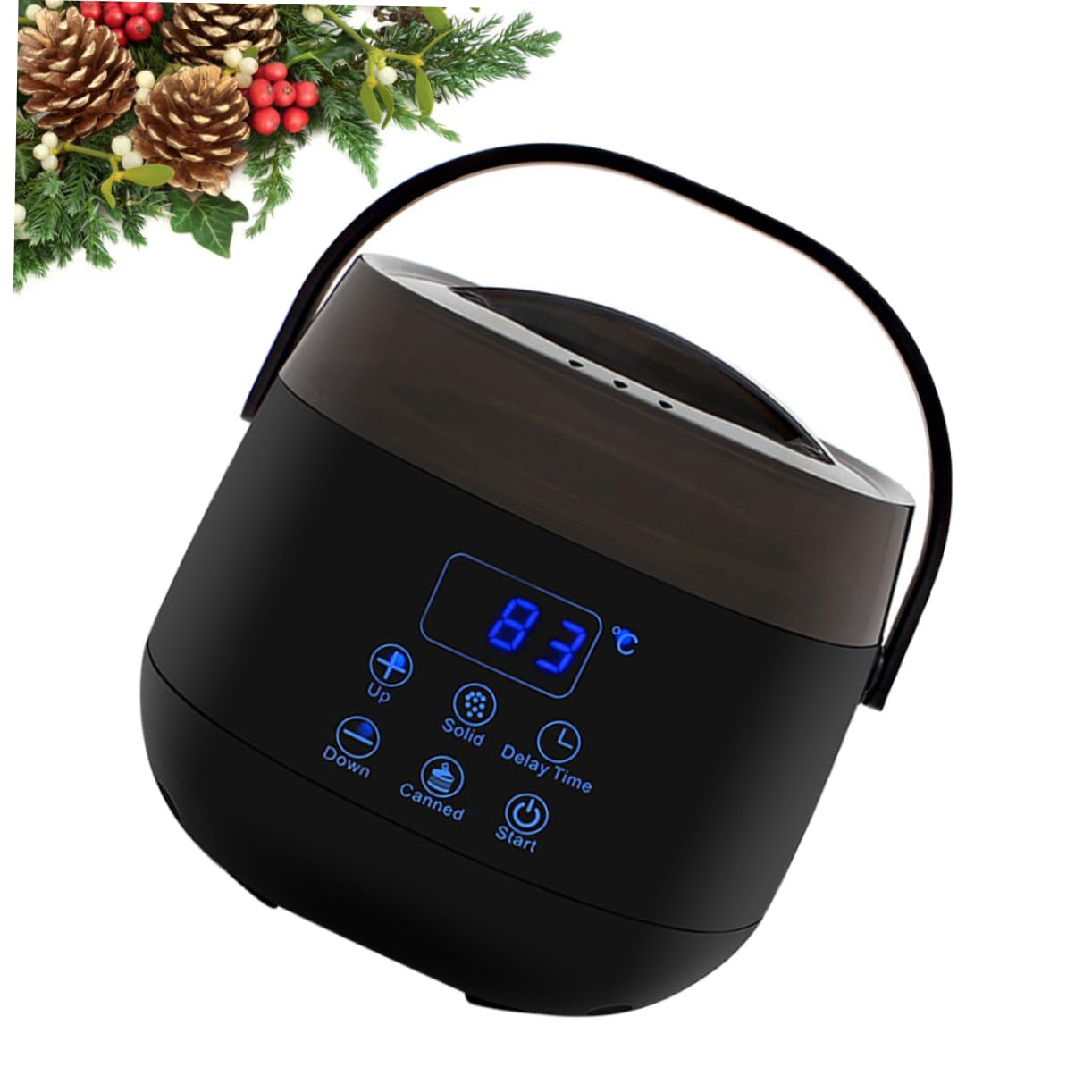 NOLITOY Professional Wax Warmer Machine for Hair & Body - Black Wax Heater for Smooth Wax Removal - Perfect for Salon, Spa & Home Use