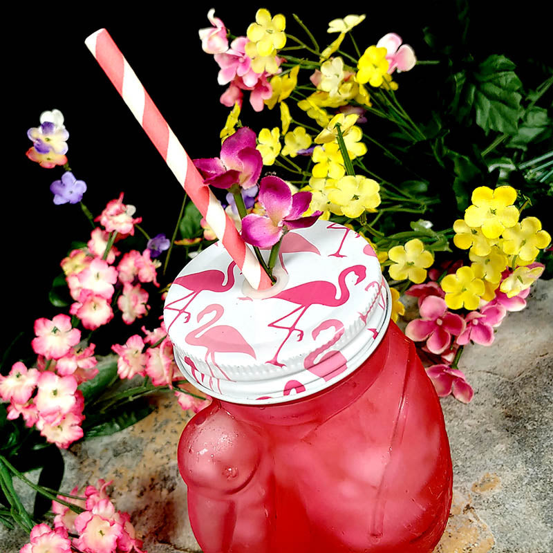 BarConic® Pink Flamingo Glass - 18oz Cocktail, Iced Tea & Juice Drinking Glasses - Perfect for Pool Parties, Summer BBQs & Tropical Themed Events