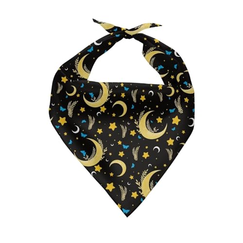 Star and Moon