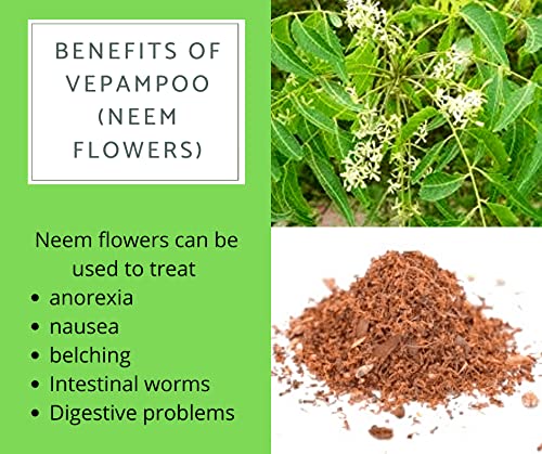 Saara HERBAL FRESH Neem Flower Powder 100g | Veppam Poo Powder, Indian Lilac Flower, Ariyaveppu, Vepa Puspam | Organic Ayurvedic Remedy for Skin & Hair Care | Pack of 1 x 100g | Perfect for DIY Face Masks, Hair Treatments & Natural Remedies