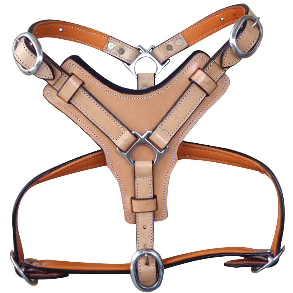 HILASON Genuine Leather Dog Harness & Leash Set - Large Size, Tan, Padded for Comfort - Perfect for Walking, Training & Outdoor Adventures