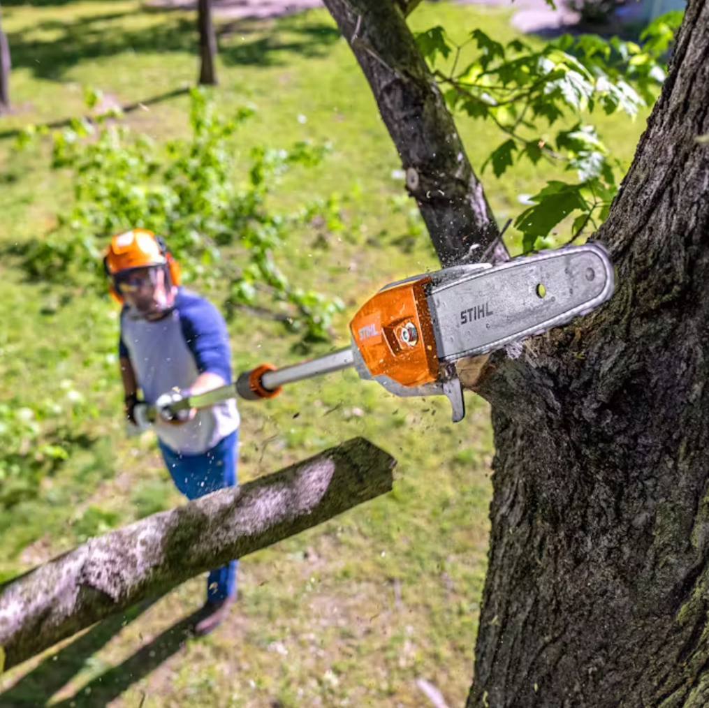 STIHL HTA 86 Cordless Pole Pruner - 20V Battery Powered Tree Trimmer with Extendable Pole for Easy Branch Cutting | Perfect for Garden Maintenance, Landscaping & Tree Care