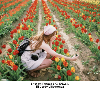 FUJIFILM Provia 100F 120 Professional Color Transparency Film - High-Quality Slide Film for Landscape, Portrait & Studio Photography