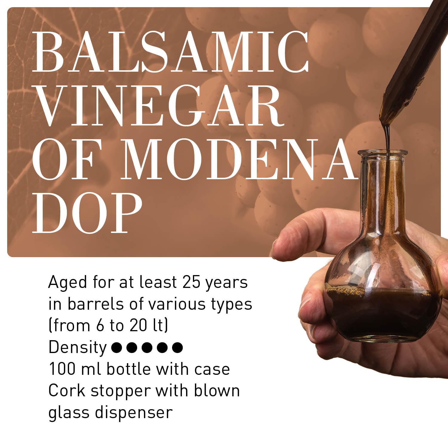 Premium Aged Balsamic Vinegar of Modena - Extra Vecchio 25 Years, 100ml Italian Gourmet Vinegar with Gift Box & Glass Dispenser - Perfect for Salads, Cheese Pairing & Gourmet Cooking