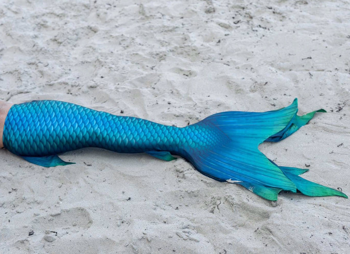 Siren Eco DiveTail - Premium Dive Fins for Scuba Diving & Snorkeling | Comfortable & Eco-Friendly Design | Perfect for Ocean Adventures & Water Sports