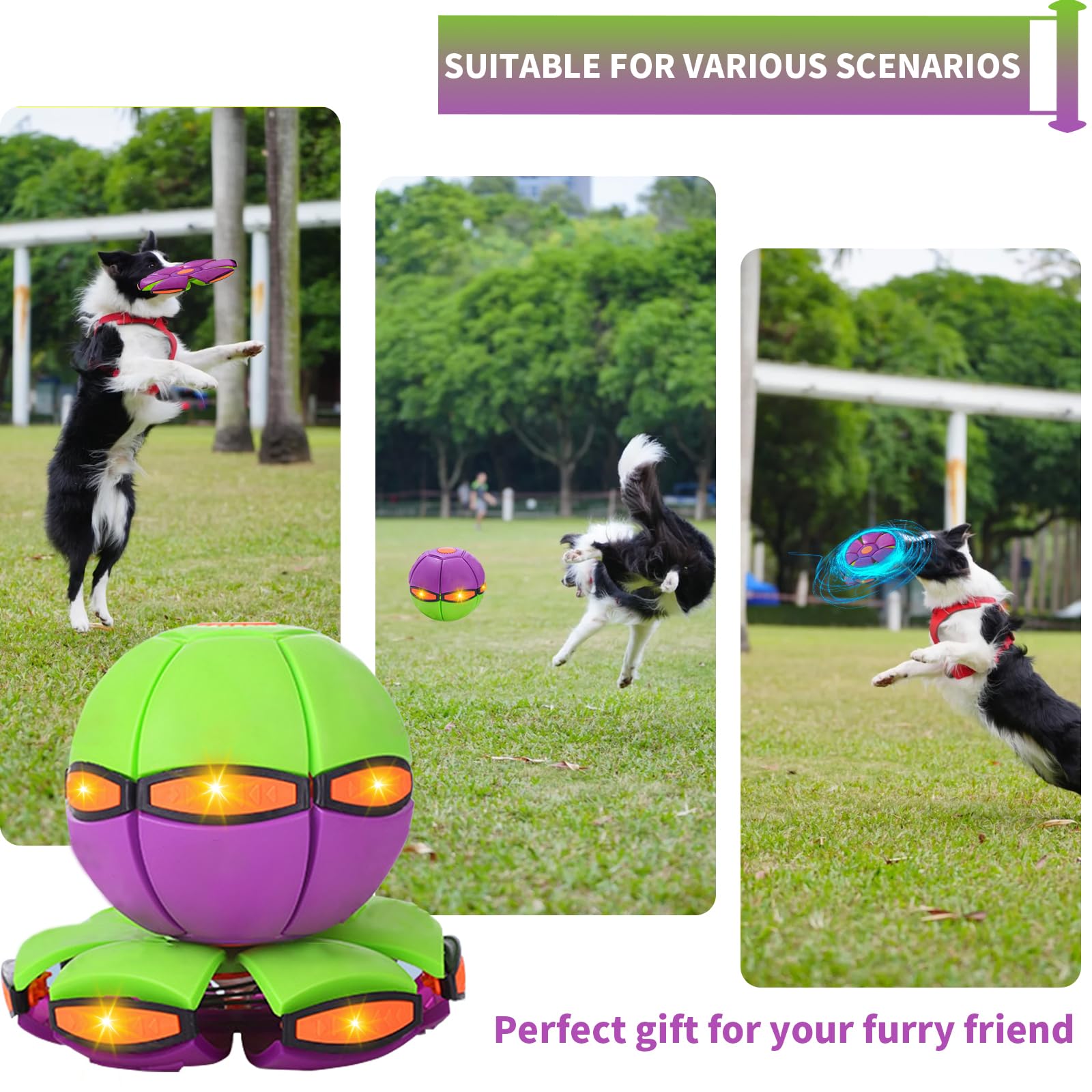 FlidRunest 2 Pack Two-Toned Flying Saucer Dog Toy - Durable Outdoor Fetch Ball & Flying Disc for Medium & Large Dogs - Perfect for Beach, Park & Backyard Playtime (No Lights)