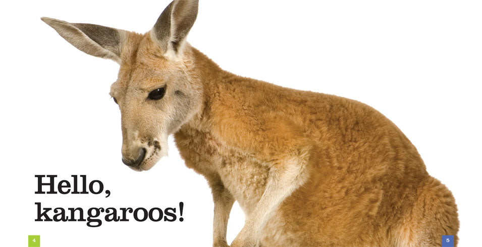Kangaroos Book 978-1-60818-739-3 - Learn About Kangaroos for Kids & Adults - Perfect for School Projects & Animal Lovers