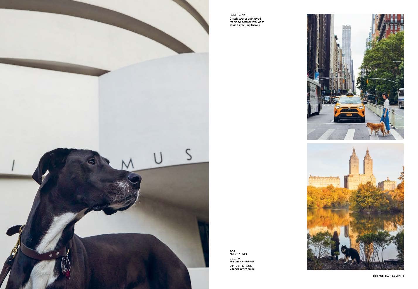 Dog Friendly New York City Guide - Best Pet-Friendly Hotels, Parks & Restaurants | Travel Tips for Dog Owners