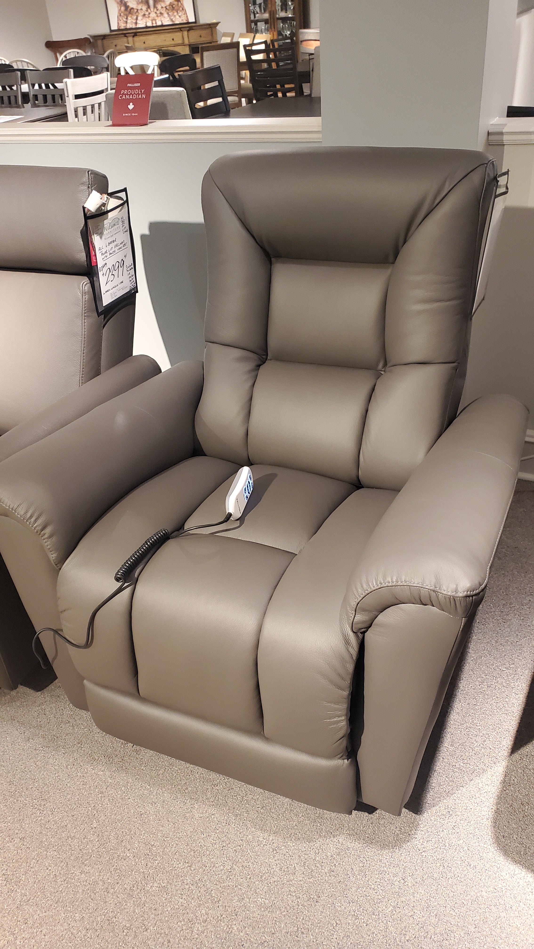 Palliser Power Lift Recliner Chair - Electric Reclining Sofa with Remote Control for Elderly & Mobility Assistance - Perfect for Living Room, Home Theater & Recovery Use