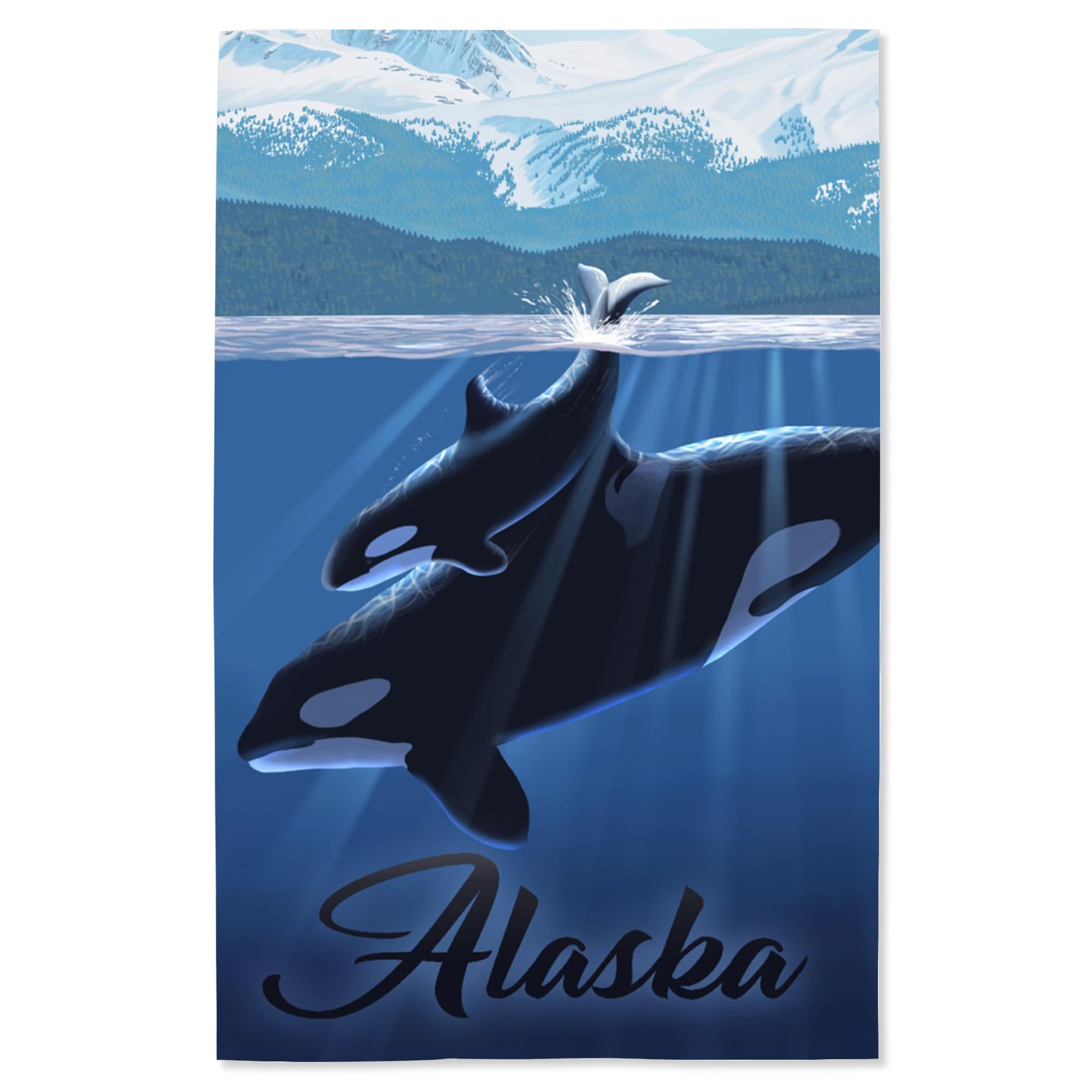 Lantern Press 16x24 Inch Giclee Print - Alaska Orca and Calf Wall Art - Perfect for Living Room, Bedroom or Office Decor