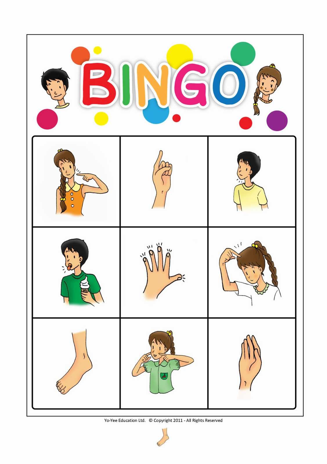 Body Parts Flash Cards & Bingo Game Set - Vocabulary Picture Cards for Babies, Toddlers & Kids | Early Learning, Homeschool & Classroom Activities