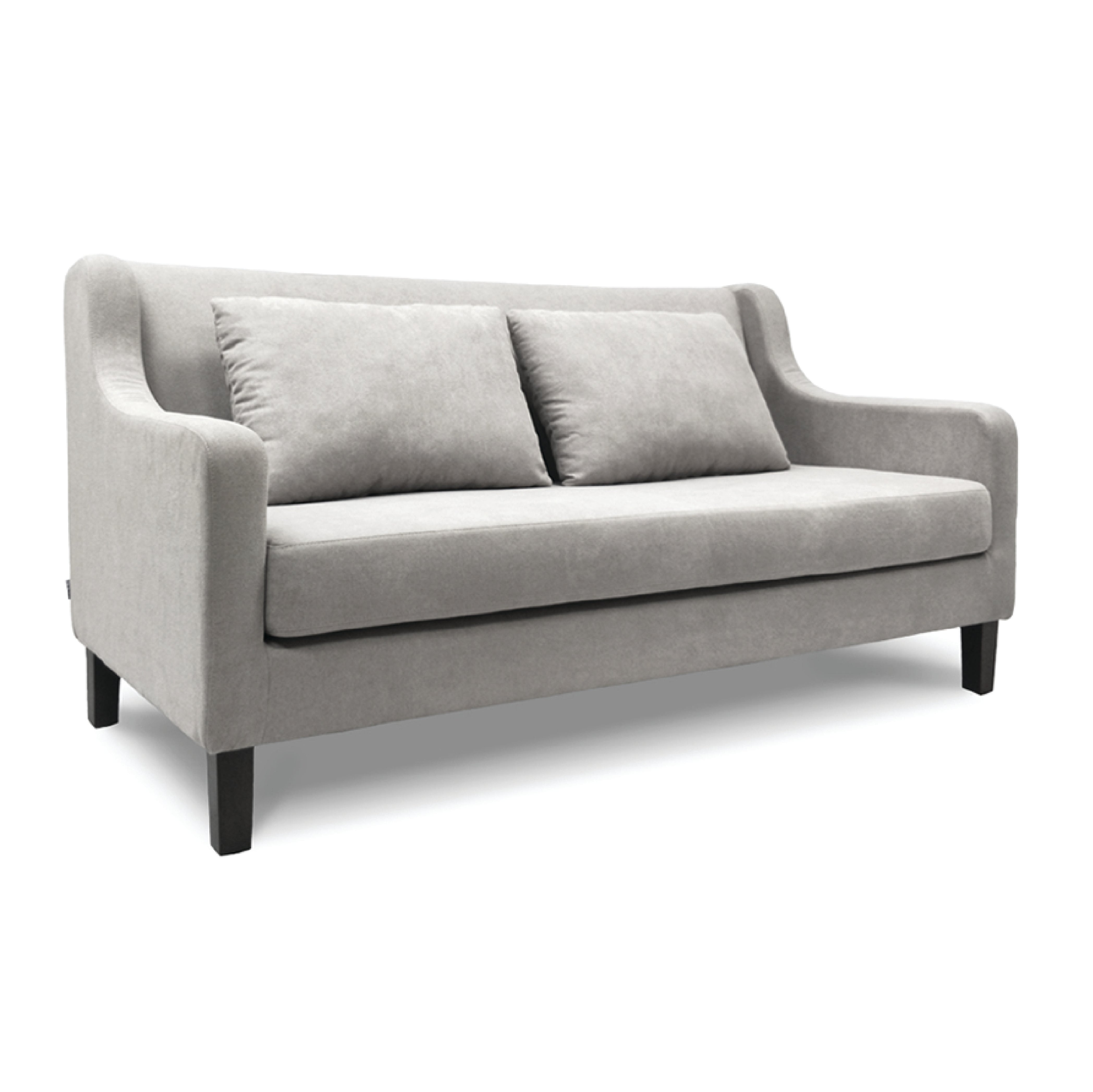Orsani 2-Seater Sofa - Modern Loveseat for Small Spaces | Perfect for Living Room, Apartment & Office Waiting Area