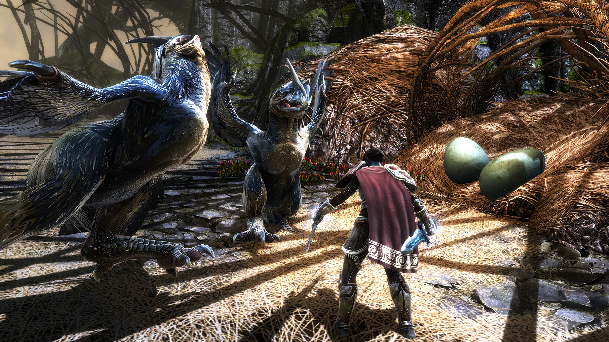 Kingdoms of Amalur Re-Reckoning - Nintendo Switch Game | Epic Fantasy RPG Adventure | Perfect for Travel & Home Gaming