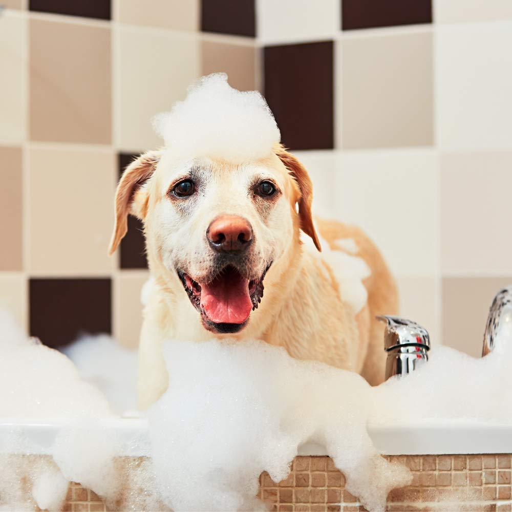 Gentle Puppy Tear-Free Dog Shampoo for Sensitive Skin - 8oz Hypoallergenic Pet Shampoo - Perfect for Bathing & Grooming Puppies with Itchy or Irritated Skin