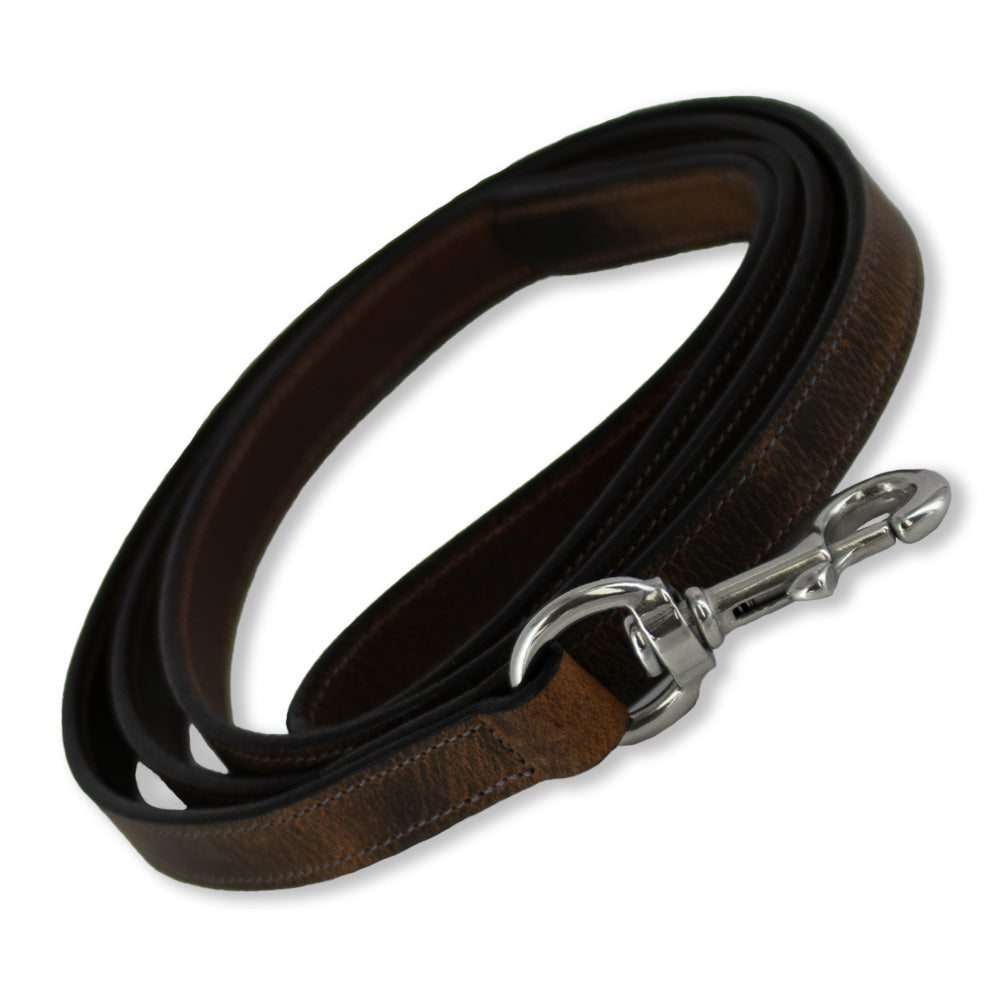 Premium Quality USA Made Dog Leash for Ollie - Durable & Comfortable for Walking, Training & Outdoor Adventures