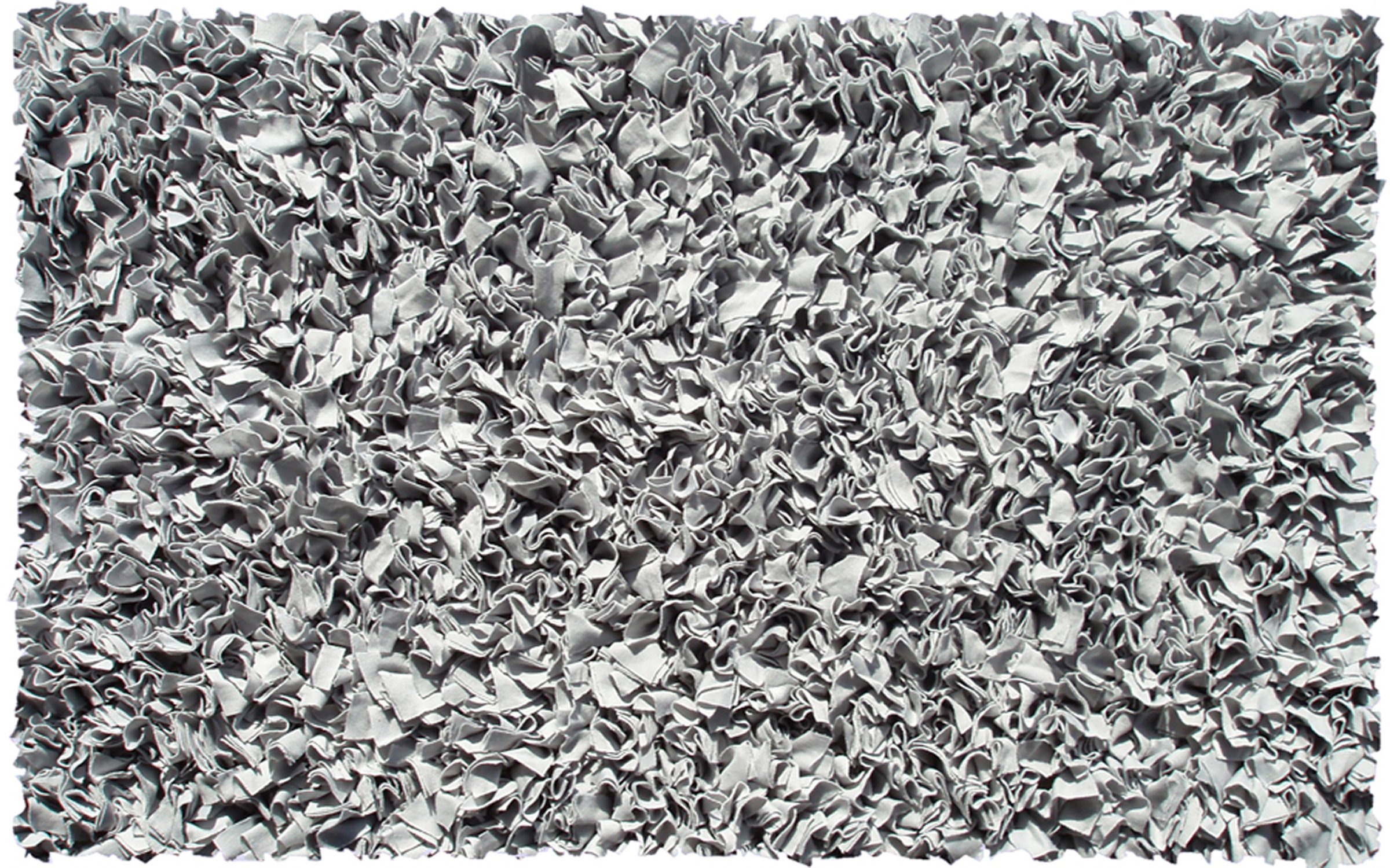 Shaggy Silver Area Rug 22