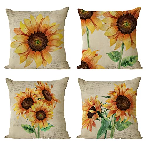 Sunflower 11