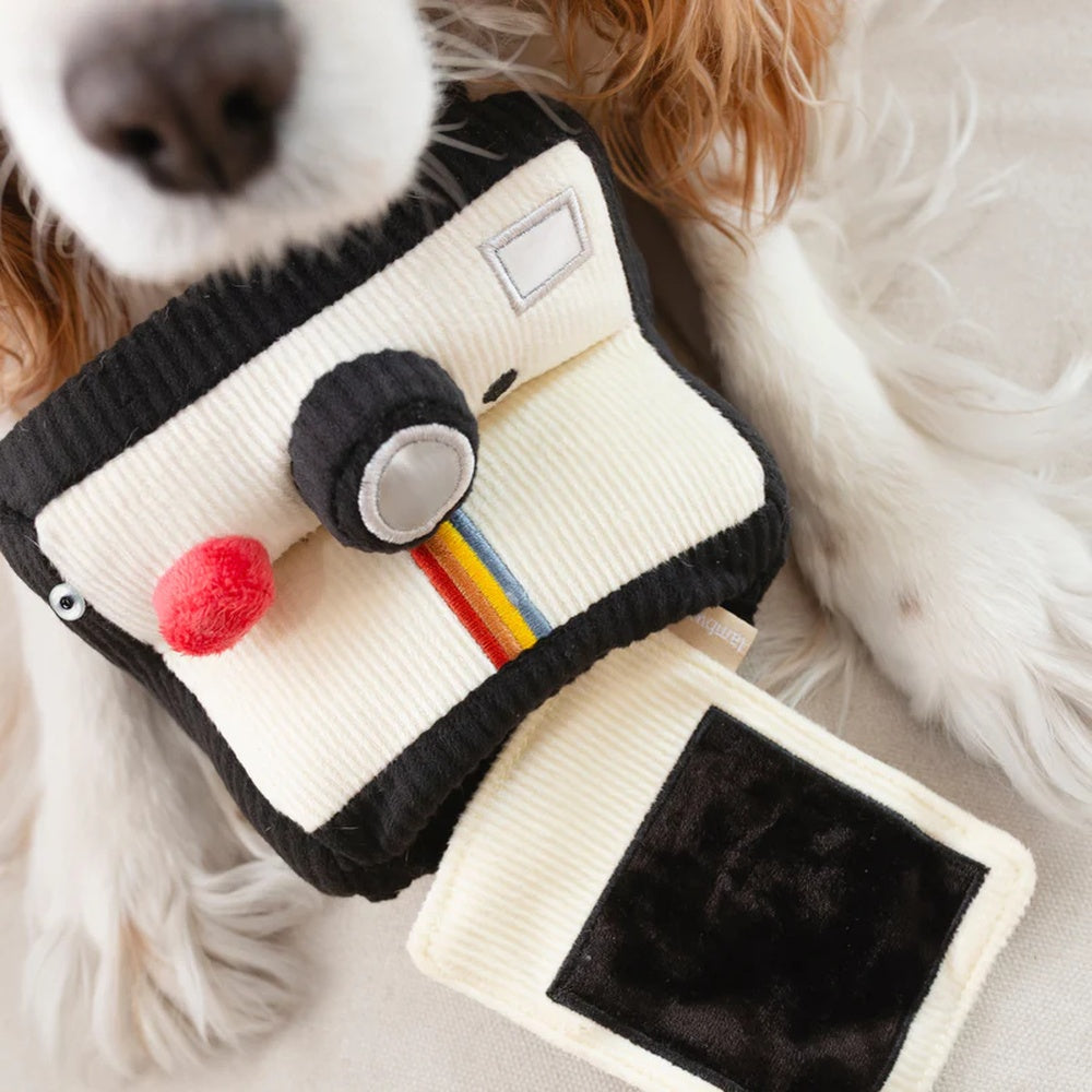 Instant Camera Snuffle & Squeaky Dog Toy - Interactive Puzzle Feeder for Dogs, Fun Chew Toy for Puppies & Small Breeds - Perfect for Training, Boredom Relief & Mental Stimulation