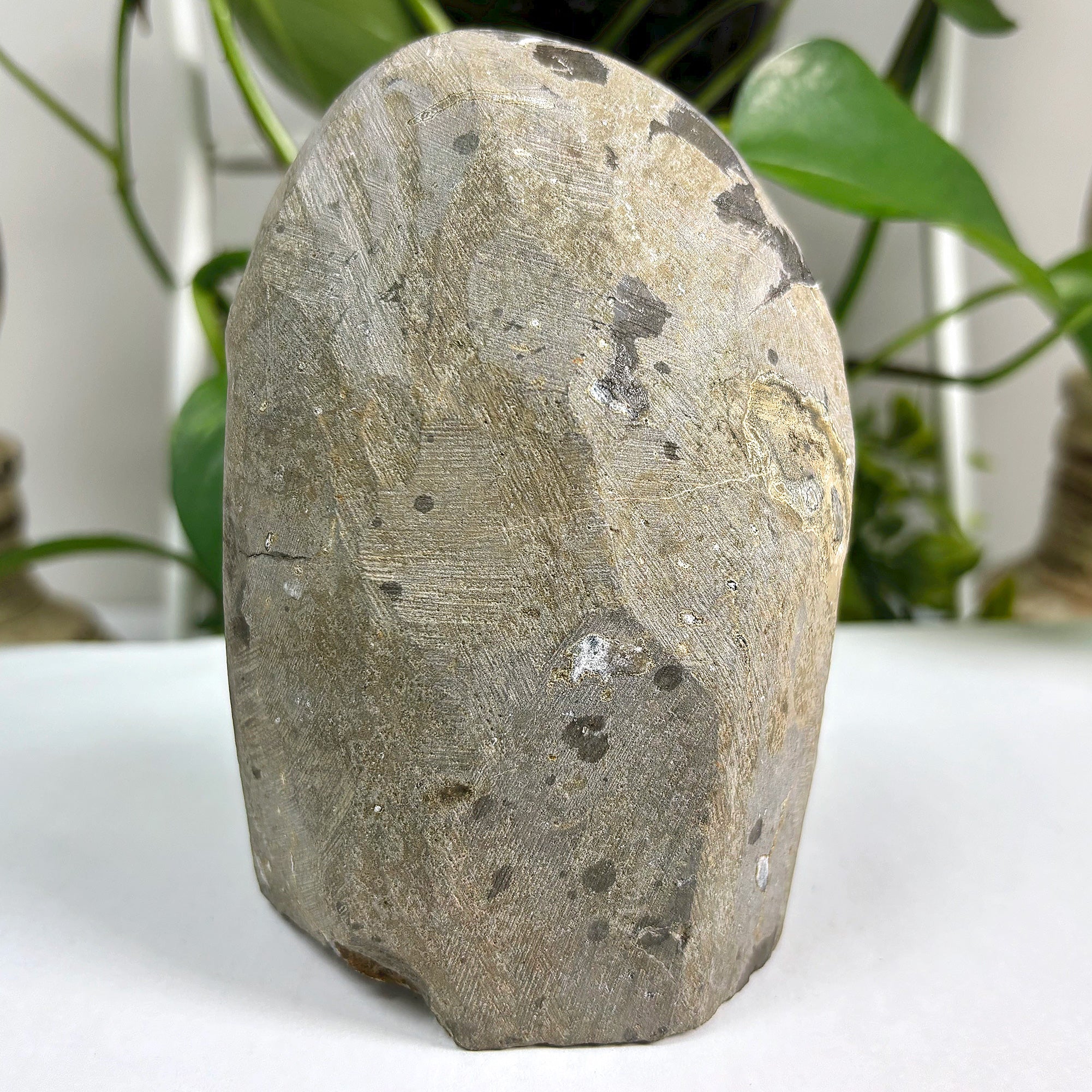 Natural Deep Purple Amethyst Geode Crystal Cluster - Healing Stone for Home Decor, Meditation & Spiritual Healing | 10-0137 | Perfect for Living Room Display, Office Feng Shui & Reiki Energy Work