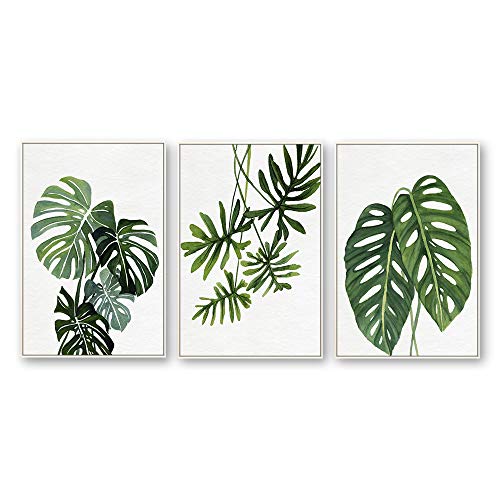Plants-1909-n01
