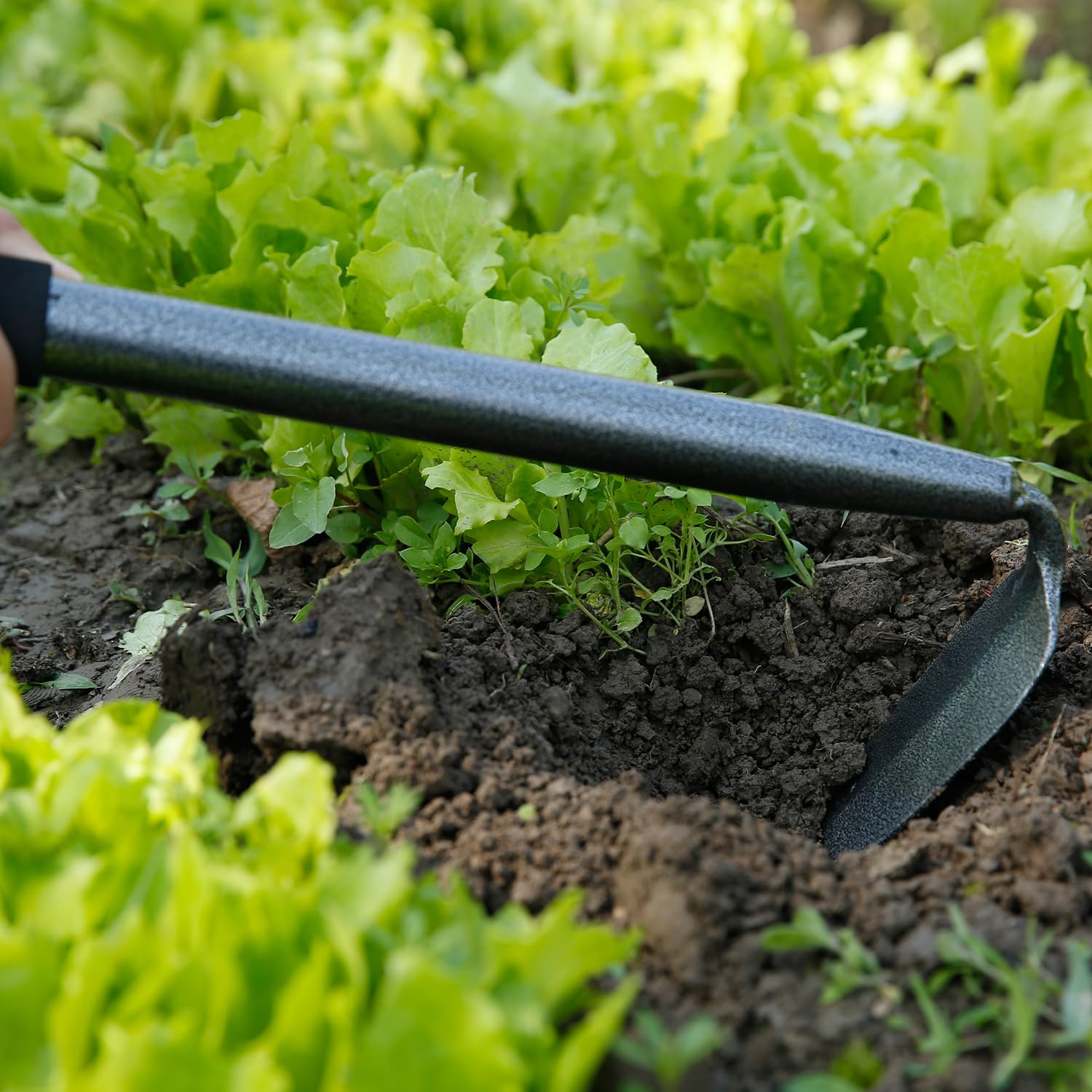 Forged Steel Hand Hoe Weeding Tool - 18
