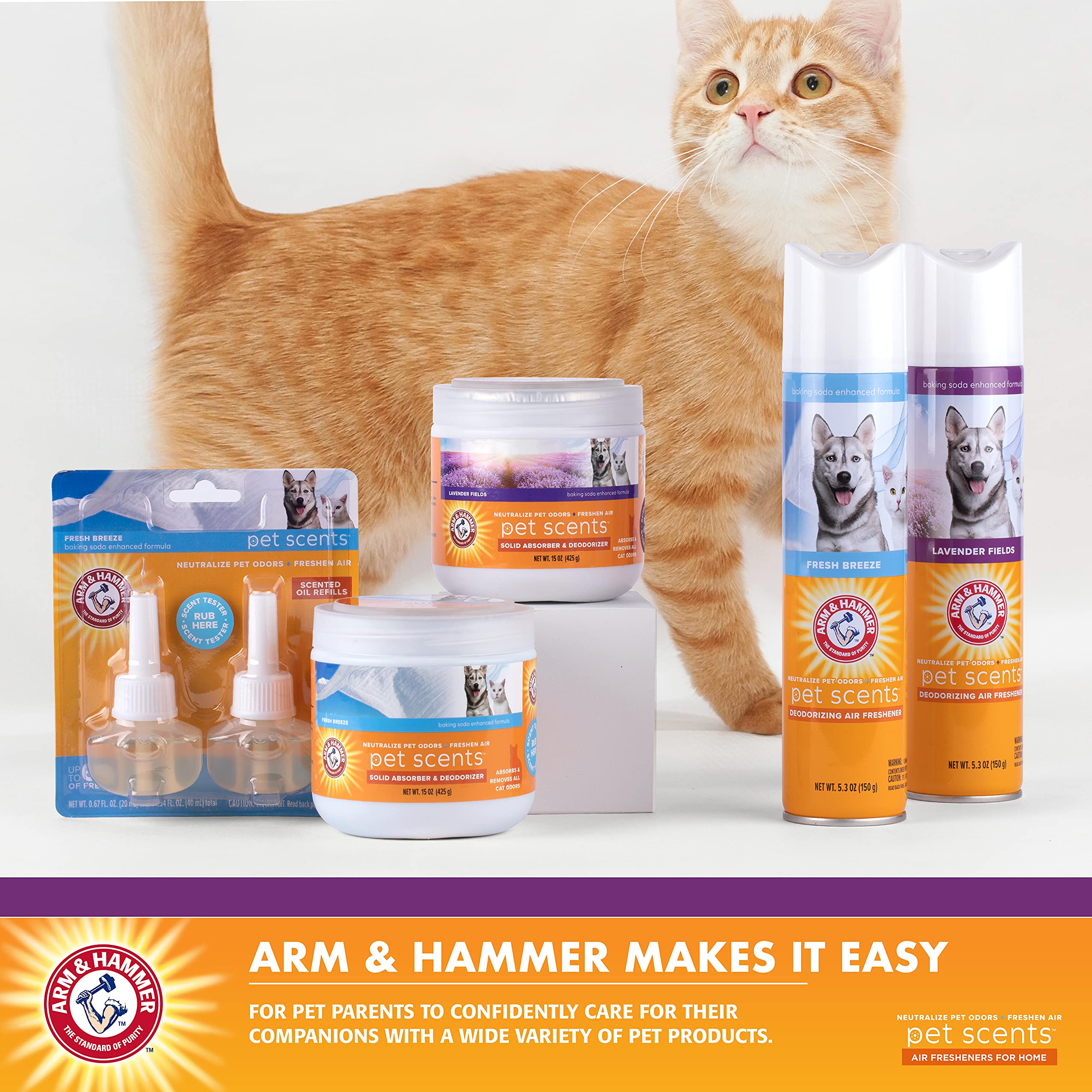 Arm & Hammer Pet Odor Eliminator Plug-In Refills - Lavender Scented Oil for Homes with Dogs & Cats | 0.67 Fl Oz x 60 Pack (30 Pairs) | Freshens Living Rooms, Bedrooms & Pet Areas | Long-Lasting Air Freshener for Pet Owners