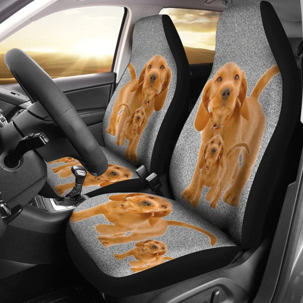Pawlice Basset Fauve de Bretagne Dog Print Car Seat Covers - Waterproof Pet Seat Protector for Dogs, Universal Fit for Cars, SUVs & Trucks - Perfect for Travel, Daily Commute & Outdoor Adventures