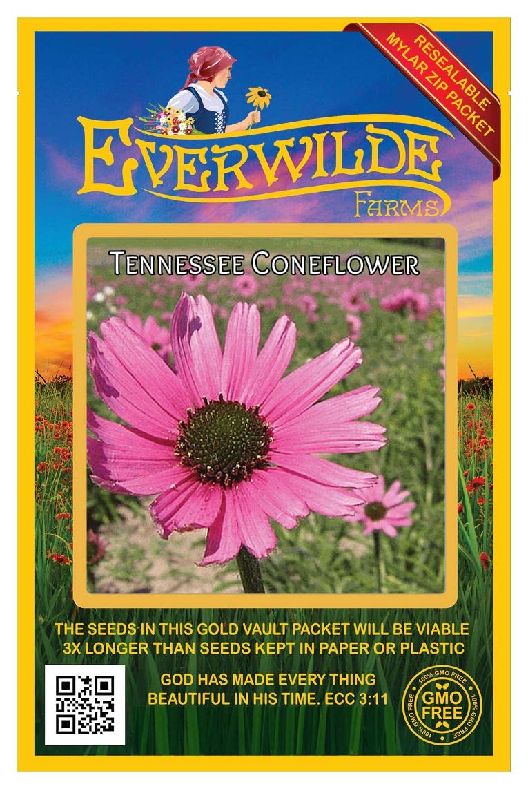 Everwilde Farms - 50 Tennessee Coneflower Native Wildflower Seeds - Gold Vault Jumbo Seed Packet for Pollinator Gardens & Landscaping