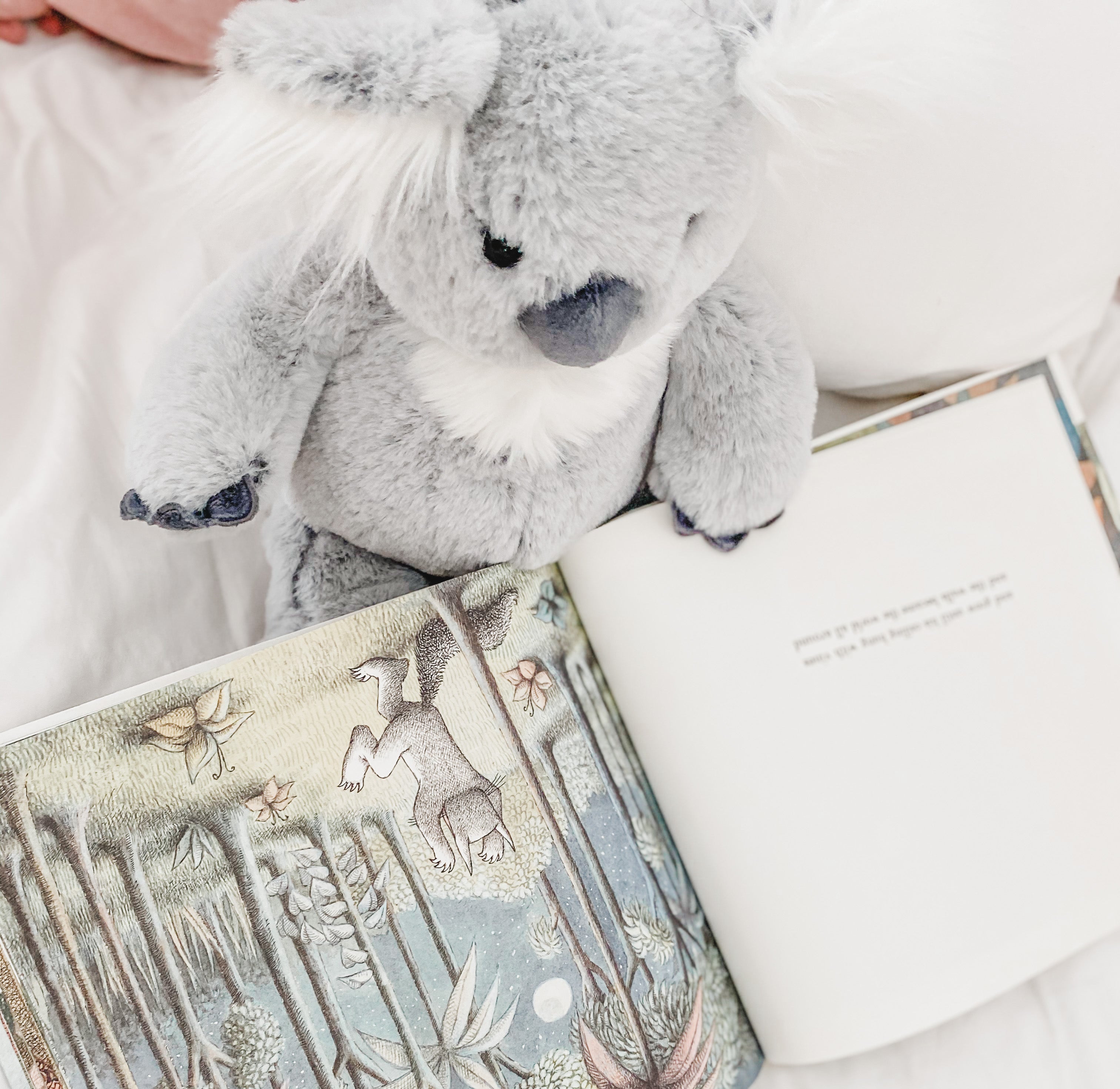 Cute Sydney Koala Plush Toy - Soft Stuffed Animal for Kids & Adults | Perfect Gift for Birthdays, Christmas & Home Decor