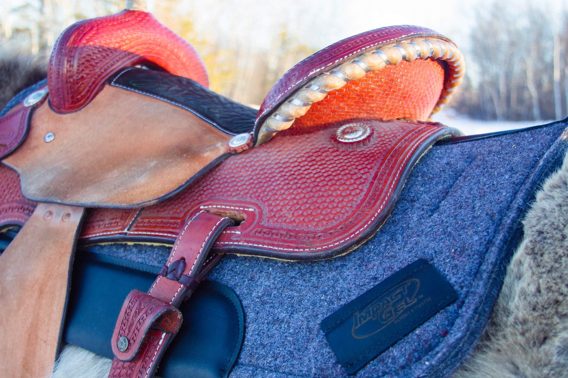 Impact Gel Contour Saddle Pad - Shock Absorbing Horse Riding Saddle Pad for Comfort & Protection - Perfect for Trail Riding, Dressage & Equestrian Sports