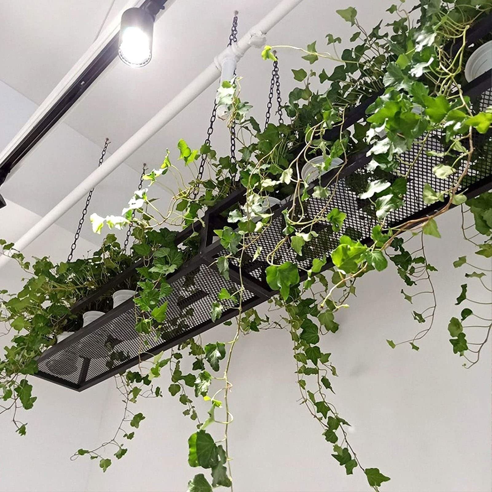 Industrial Loft Style Hanging Iron Basket - Wine Glass Rack, Ceiling Shelf, Plant Stand & Floating Shelves for Bar, Restaurant & Home Decor - Black, 5 Lengths (80x25x15cm) - Perfect for Kitchen Storage, Wine Display & Indoor Plant Organization