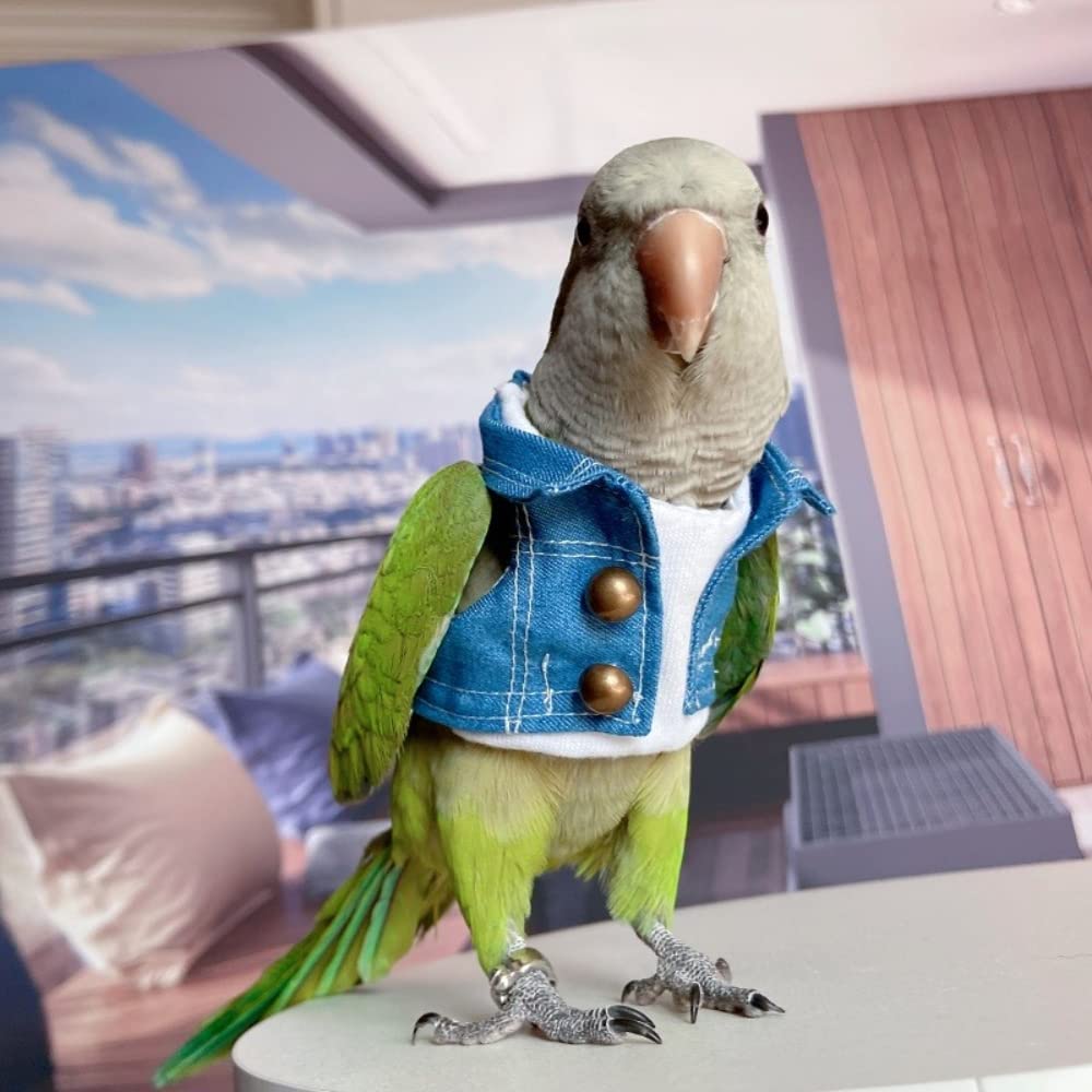 Bird Diaper Flight Suit & Costume Set for Parrots, Lovebirds, Cockatiels - Soft Bird Jeans with Absorbent Diaper - Perfect for Cosplay, Photo Props & Small Pet Apparel (Caique Size Included) - Ideal for Playtime, Training & Indoor Bird Activities