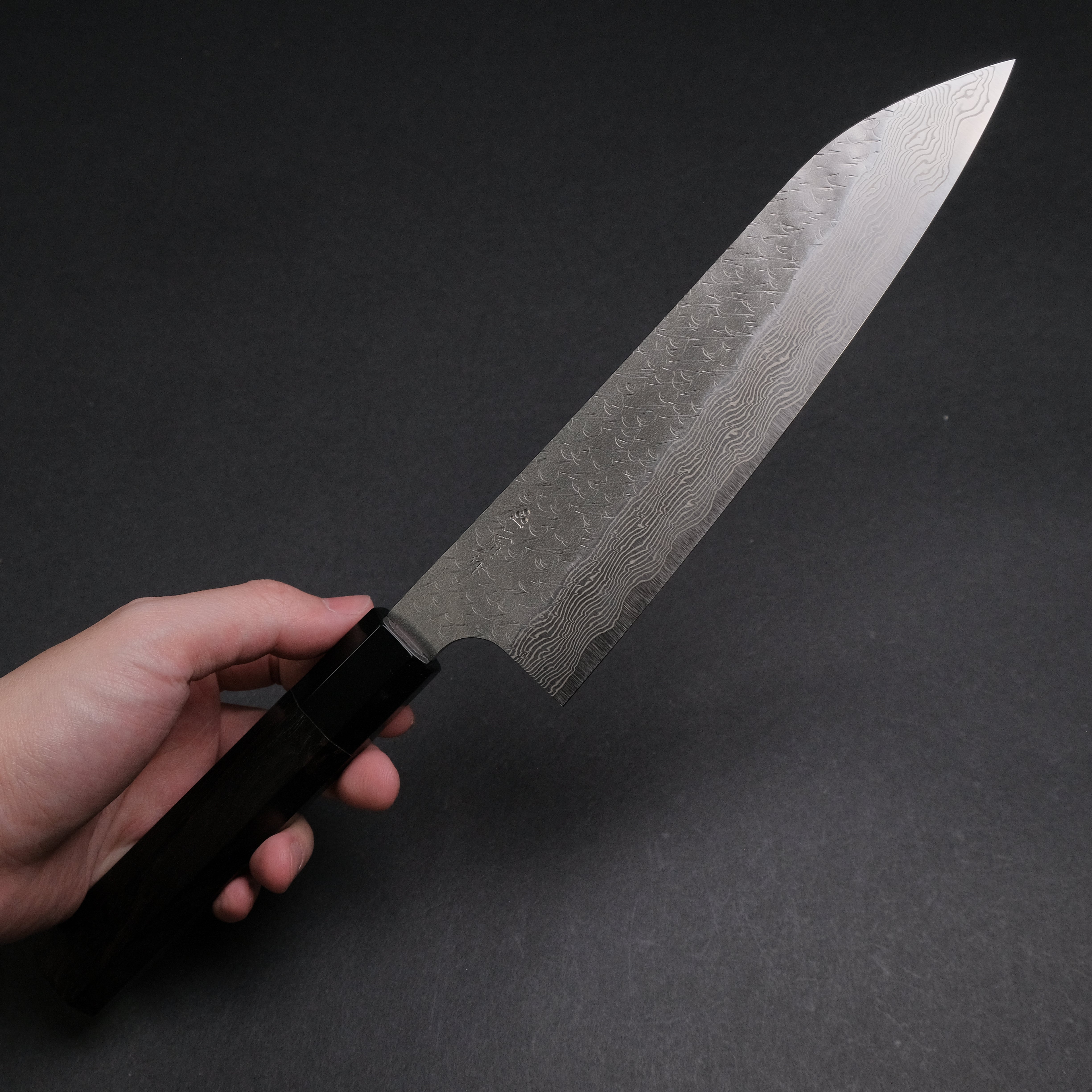 Nigara SG STRIX Gyuto 210mm Japanese Chef Knife with Premium Ebony Handle - Perfect for Sushi, Meat Cutting & Professional Kitchen Use