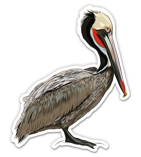 Pelican 5