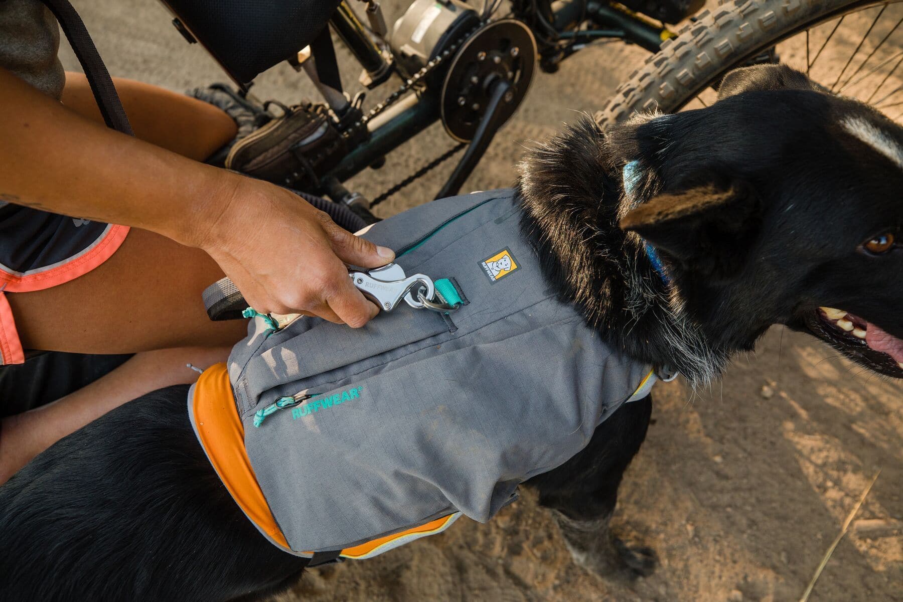 Ruffwear Minimalist Switchbak Dog Harness in Red Sumac - Lightweight & Durable for Hiking, Running & Outdoor Adventures