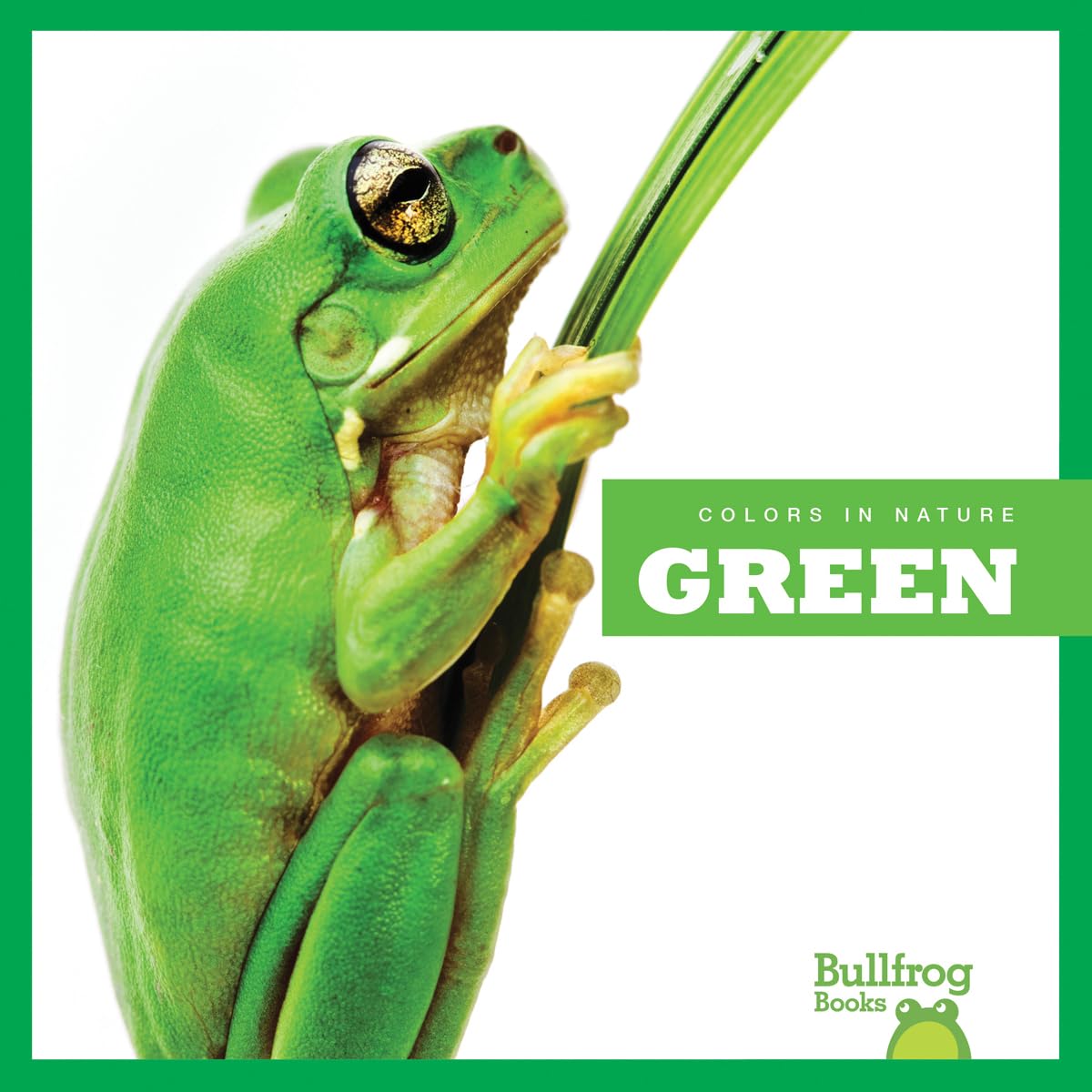 Green Colors in Nature - Bullfrog Books for Kids Learning