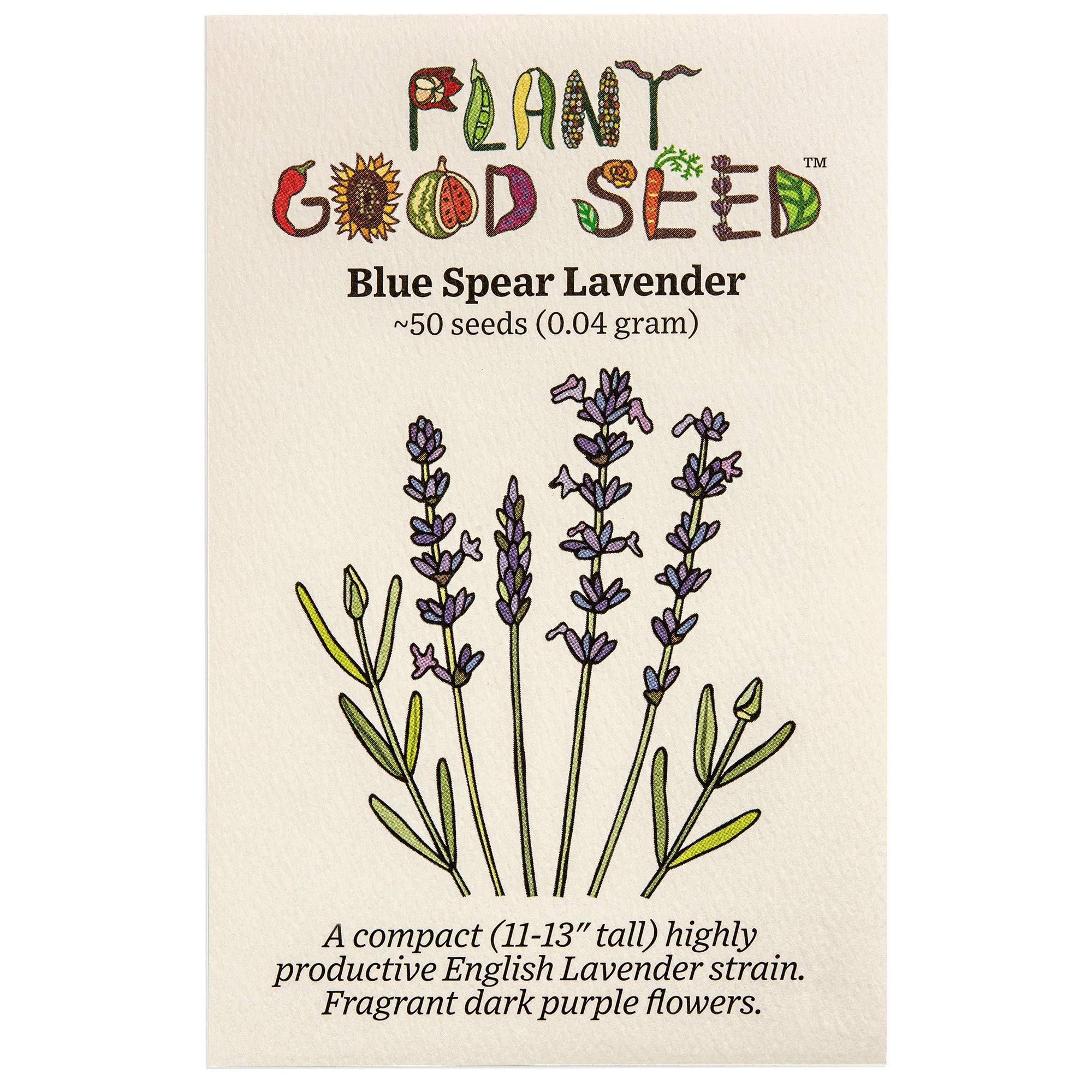 Premium Blue Spear Lavender Seeds - Non-GMO Heirloom Herb & Flower Seeds (50 Count Pack) for Home Gardening, Landscaping & DIY Projects - Perfect for Herb Gardens, Flower Beds & Outdoor Planting - Made in USA