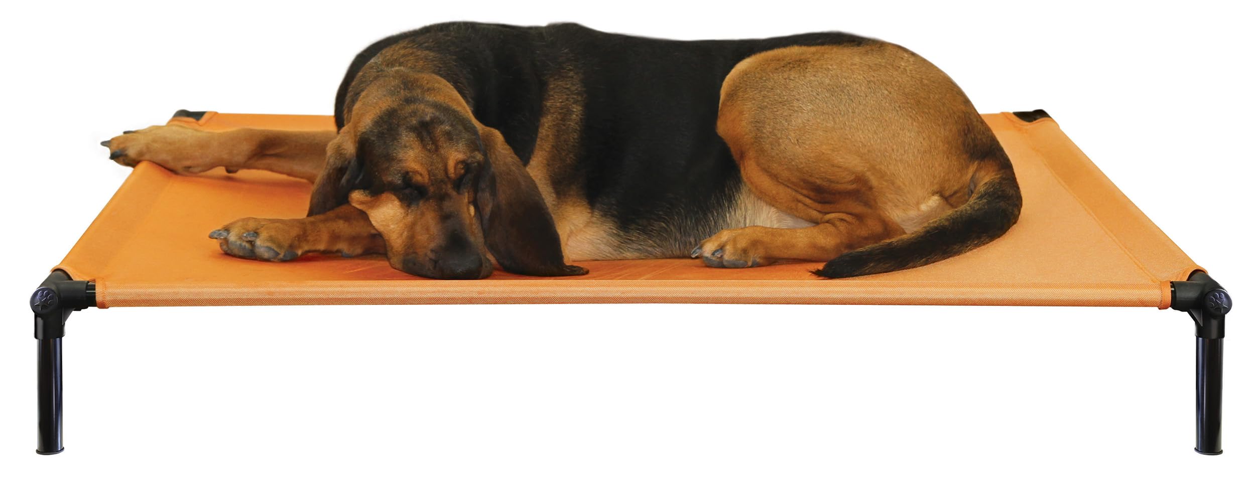 Starmark Dog Zone Bed X-Large Sunset Gold - Orthopedic Memory Foam Pet Bed for Large Dogs, Waterproof & Chew-Resistant - Perfect for Living Room, Bedroom or Kennel Use