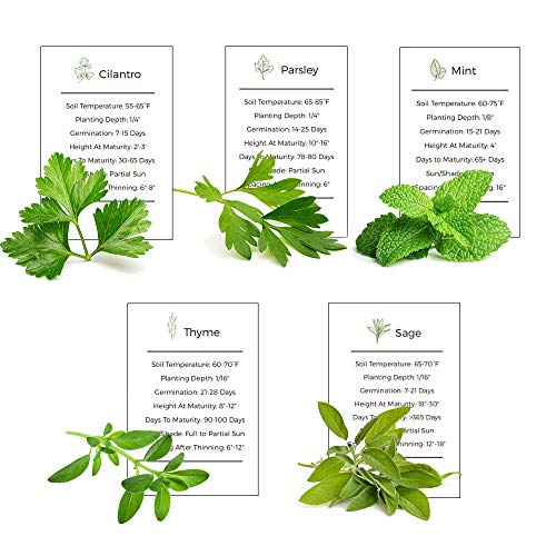 Mint, Parsley, Cilantro,Thyme & Sage