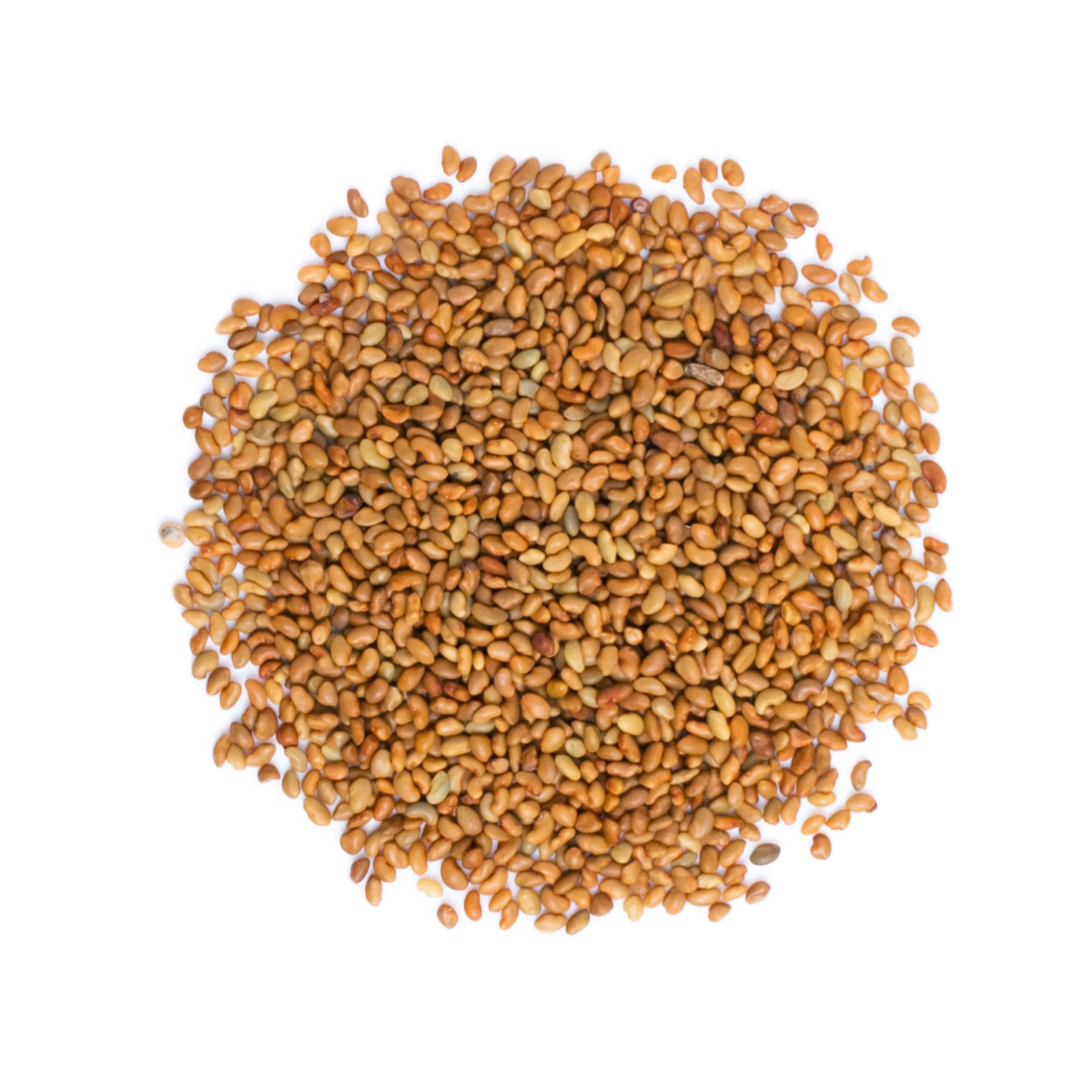 Food to Live Organic Alfalfa Sprouting Seeds - 5 lbs Non-GMO, Kosher, Raw, Sproutable Seeds for Healthy Salads, Sandwiches & Home Gardening