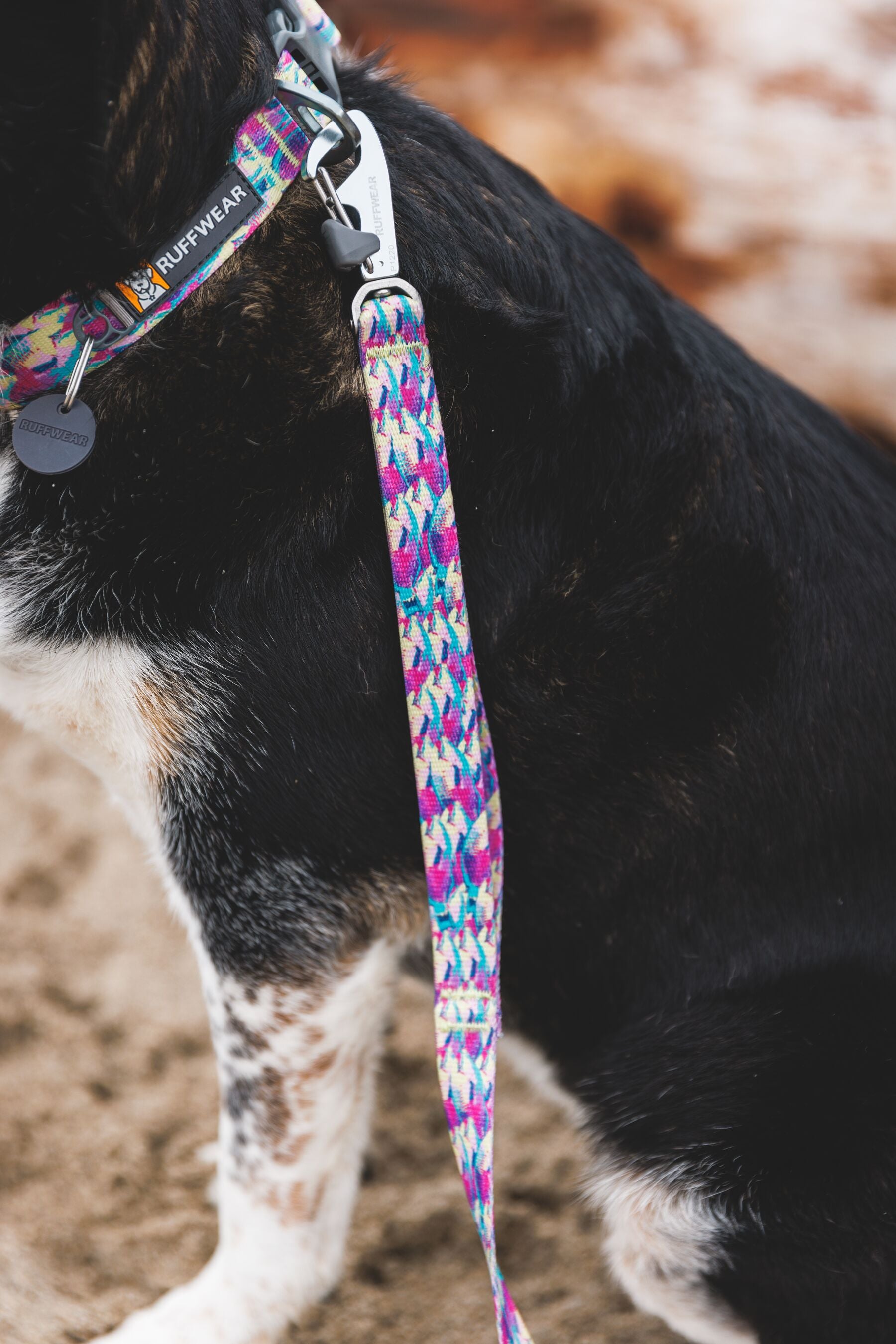 Ruffwear Front Range® Dog Harness - Sweeping Sage Pattern | Adjustable & Reflective for Hiking, Running & Outdoor Adventures