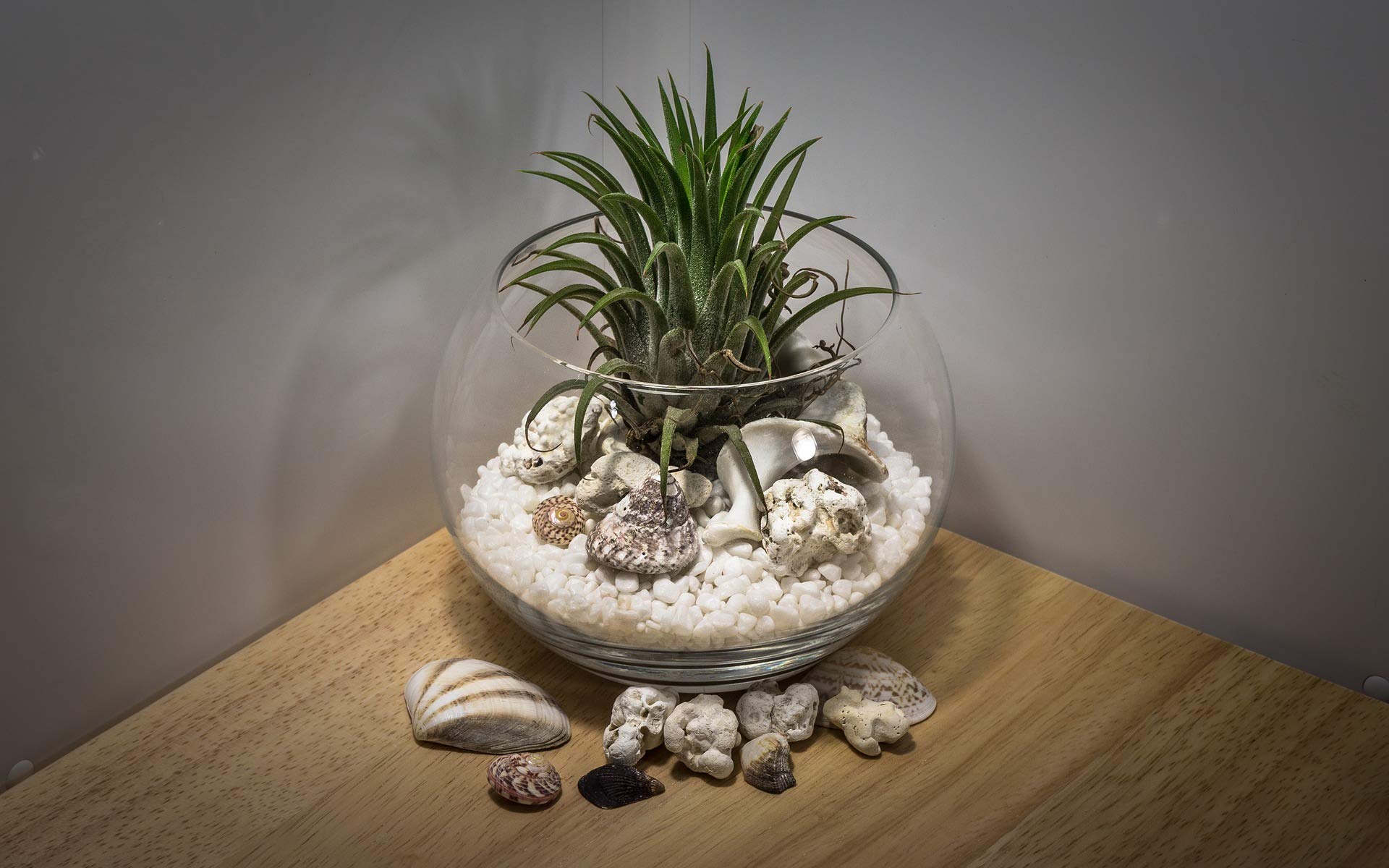WGV 16-Inch Large Clear Glass Bubble Vase - 14
