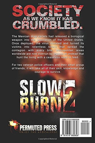 Slow Burn 2 - Premium Slow Burning Incense Sticks for Relaxation, Meditation & Yoga | Long Lasting Aromatherapy for Home, Spa & Sacred Spaces